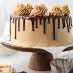 A chocolate peanut butter cake on a wooden cake stand. The cake is topped with a chocolate ganache drip and swirls of peanut butter frosting.