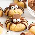 A closeup of spider cookies on a piece of parchment paper.